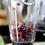 frozen fruit blender