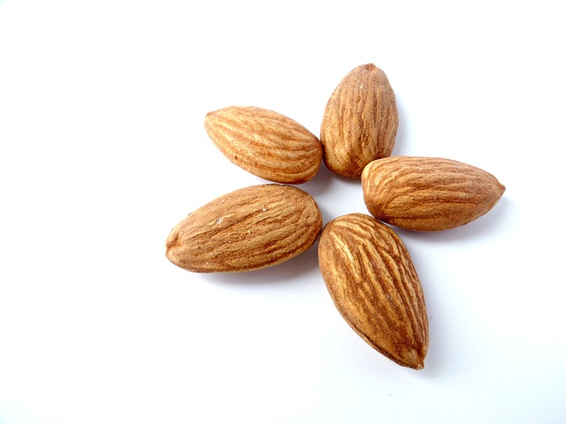 Almonds to Grind Ninja